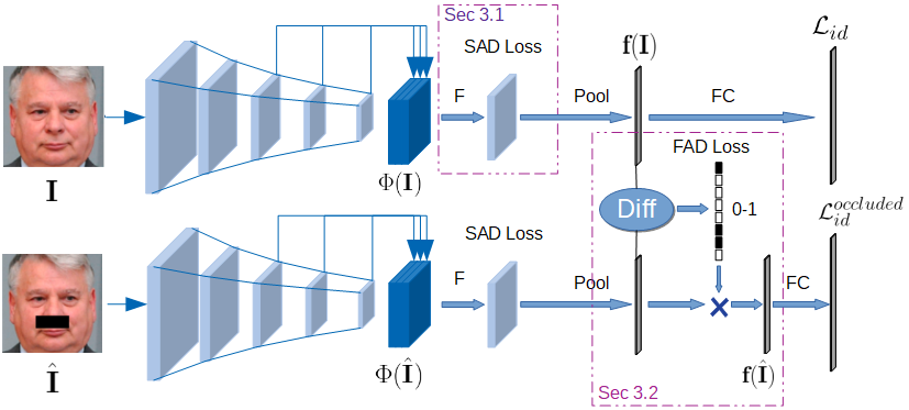 overview network structure